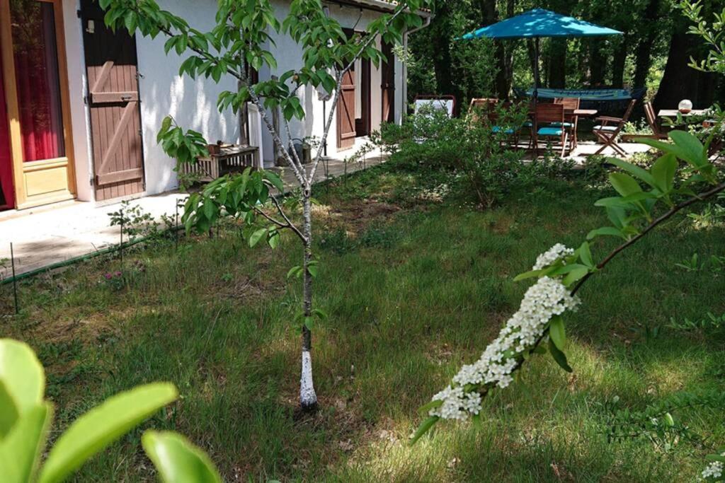 Villa Azurine Andernos Les Bains Bagian luar foto